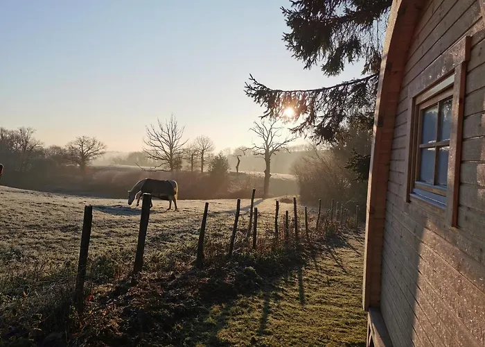 La Cabane Insolite